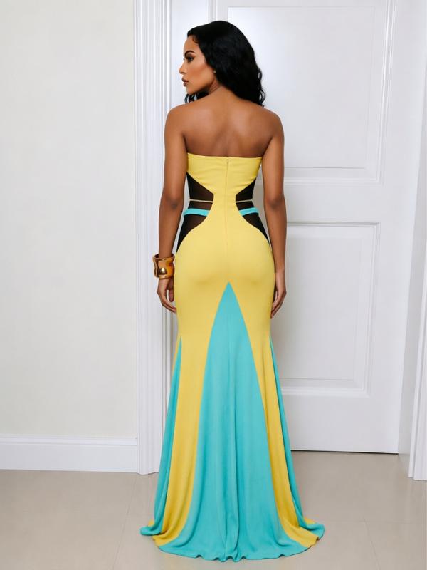 Colorblock Halter Maxi Dress