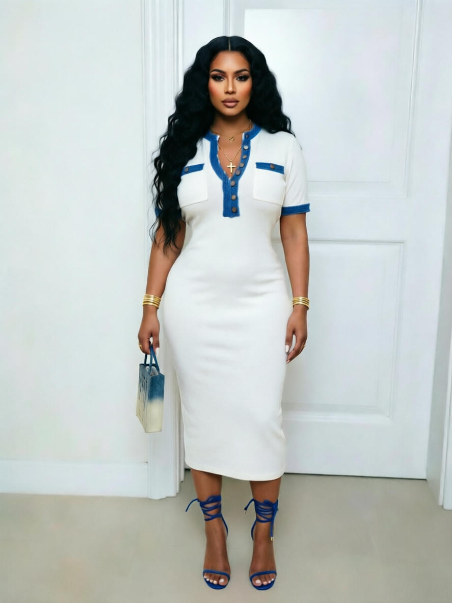 Denim-Combo Button-Front Dress
